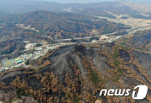 회복 기다리는 산림