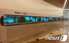갤러리아百, 비디오 아티스트 백남준의 ‘TV물고기’ 전시