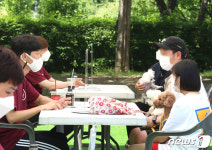 댕댕아 학교가자…강남구, 반려견 행동교정 아카데미 운영