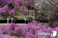 부천 진달래 동산에서 동심을