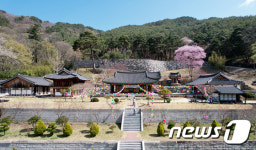 산벚꽃 핀 벽송사