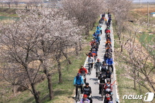 보은군 오는 17일 벚꽃길 자전거대행진 개최