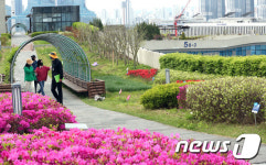거리두기 전면해제,  세계 최대 정부세종청사 옥상정원 재개방
