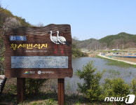 예산군 황새부부 대술면 옛 황새 번식지에 첫 부화