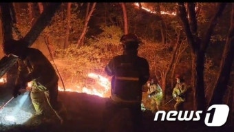 대구 달서구 산불 밤새 진화하는 소방대원들