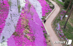 봄꽃 만개한 함양지리산생태체험단지