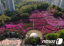 2년만에 개방된 군포 철쭉동산