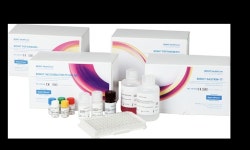 다우바이오메디카, 내시경 보완, 위 검사 문턱 낮춘 간편 위 혈액검사 출시