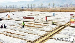노동신문 선진영농방법 조직화·구체화로 성과