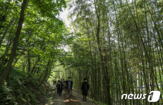 아홉산 숲 산책하는 시민들