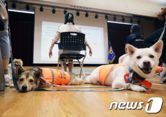 순찰 교육 받는 반려견 순찰대