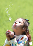 민들레 홀씨에 푹 빠진 어린이