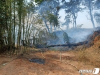 보성 조성면 용전리 대밭서 불…49분 만에 초진
