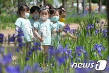 동심 사로잡은 창포꽃