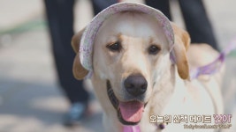 래퍼 이영지, 연트럴파크 깜짝 버스킹…서울의 공원 영상