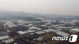 ‘줍줍 흥행 vs 집값 주춤’ 과천…재건축·신도시 개발 새 ‘기회 될까