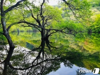 [신용석레인저가떴다] 병풍바위 깃발바위…설악·월출산보다 더 있다, 전설