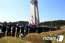 상공으로 날아가는 함평 나비