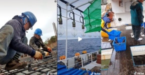 [단독] 평일 배 타고 휴일 건설현장…외국인 선원들 불법 투잡