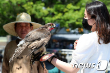 캠퍼스에서 매사냥 체험