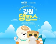 반려견 동반 여행 모았다…인터파크 강원 댕캉스 기획전
