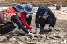 매장문화재 관심 있는 대학생…여름 발굴캠프 지원하세요