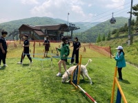 하이원리조트, 7월 반려견 전용 공간 하이원펫클럽 선봬