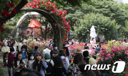 북적이는 중랑천 장미공원