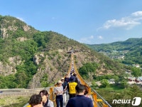 금산군 월영산 출렁다리 방문객 10만명 돌파…신관광지 부상