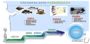 12개 수산종자 방류 개체 혼획률, 해삼 74.6% 가장 높아