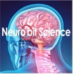 뉴로비트사이언스, 중기부 산학연 Collabo R&D 사업 선정