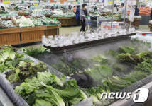 밥상물가 적신호…이른 더위로 金값된 채소가격