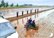 모내기 작업 중인 북한 낙랑구역 남사협동농장