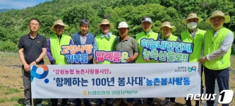 강원농협, 주말 활용 인제 북면서 농촌일손돕기