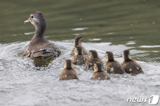 [퇴근길날씨] 전국 맑고 미세먼지 없는 하늘…대구 32·광주 31도