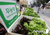무농약 채소 맛 보세요