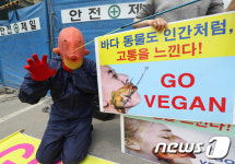 바다 파괴 중단하라 채식합시다