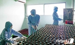 북한, 고려약 생산에 박차…부족한 원료 보장 대책 마련