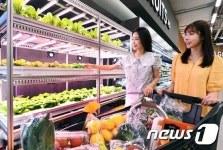 대상웰라이프(주) 홈플러스 방학점 | 홈플러스, 방학점서 서울 북부 '홈플러스 메가푸드마켓' 시대 연다