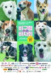 비글구조네트워크 돕기 바자회 11일 도그어스플래닛에서 열린다