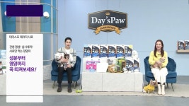 CJ온스타일, 프리미엄 펫사료 데이스포 테라픽 방송 진행