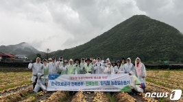 전북농협·한국도로공사, 양파농가 일손돕기 나서
