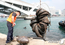 바다에 버려진 폐타이어, 양심은 어디로