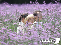 보라빛 세상 속 어린이들