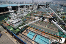 한적한 부산 공동어시장