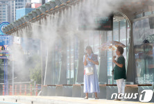 대프리카 시작…대구 중구 이달말 쿨링포그 본격 가동