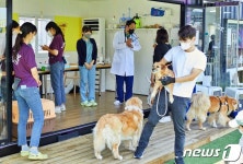 비구협 쉼터 이전 돕기 바자회 열려…개들도 신난 하루