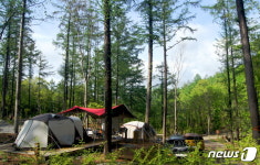 여름 최고 경쟁률 휴양림은 대야산 숲속의집…601호 객실 296대 1