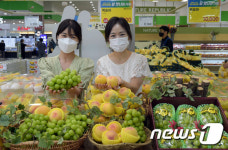 농협유통 샤인머스캣·그린황도 출시