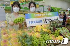 농협유통 샤인머스캣·그린황도 맛보세요